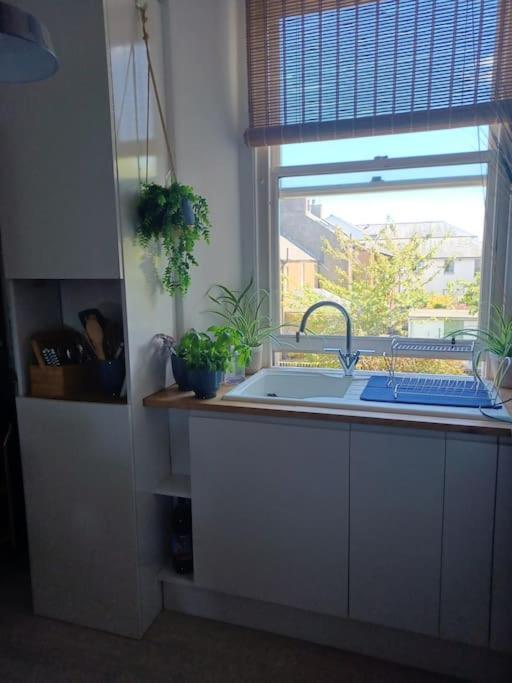 The Fuzzy Duck Apartment Broughty Ferry Ngoại thất bức ảnh