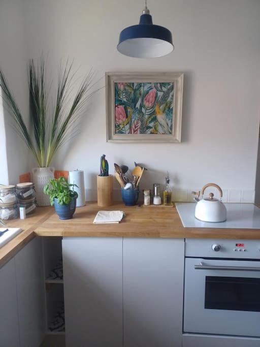 The Fuzzy Duck Apartment Broughty Ferry Ngoại thất bức ảnh