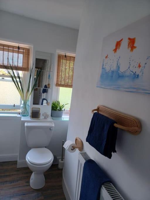 The Fuzzy Duck Apartment Broughty Ferry Ngoại thất bức ảnh