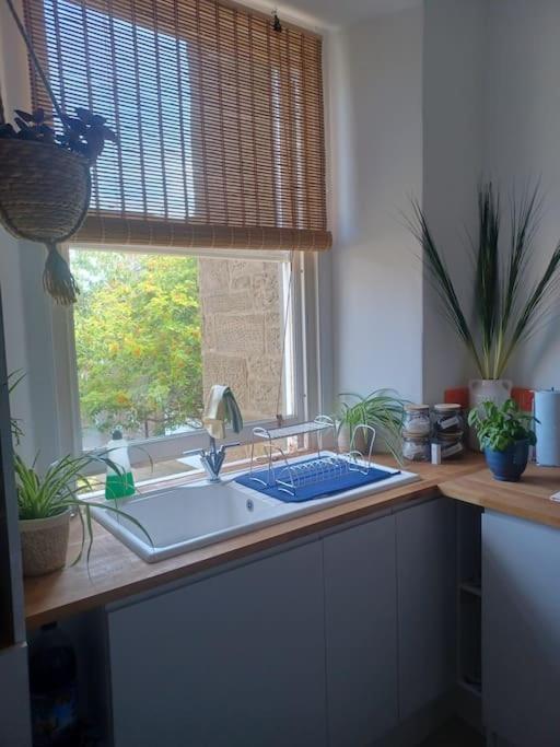 The Fuzzy Duck Apartment Broughty Ferry Ngoại thất bức ảnh